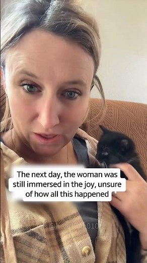 How the Cat Distribution System Delivered a Miracle#cat #CatDistributionSystem #rescue #love