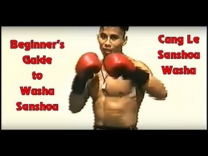 Beginner's Guide to Wushu Sanshou|| Counter Kick And Punch|| Cung Le Sanshou Wushu