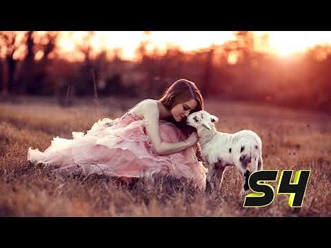 Những Bài Hát Tiếng Anh Về Tình Yêu Hay Nhất 2021 - Nhạc Âu Mỹ Hay Nhất 2021