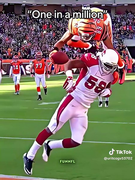 Top NFL Moments: Best Highlights from Football Games