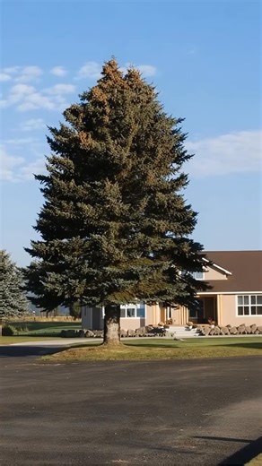This is what “coming home” looks like - welcoming, timeless, and built to last. From the timber-framed porch to the spacious interiors, every detail reflects comfort and craftsmanship. | Lexar Homes