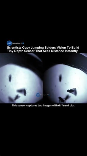 Scientists Copy Spider Vision to Build Insanely Powerful Tiny Depth Sensor #spider #vision #shorts