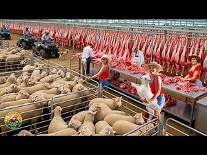 How Millions of Sheep Are Processed - Inside an Incredible Modern Sheep Processing Factory