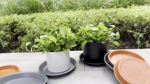 Plant Saucer 18 inch, 4 Pack 19 inch Plastic Large Flower Planter Plant Pot Saucers and Drip Tray for Indoors Outdoors, Heavy Sturdy Durable Plant Plate Water Catcher (Terra Cotta)