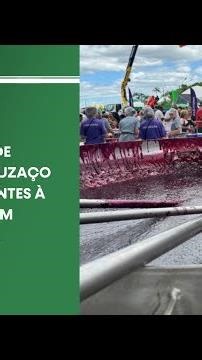 Distribuição de cachos e saguzaço atraem visitantes à Festa da Uva em Caxias do Sul