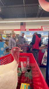 139K views · 3.6K reactions | Thank god i made it through the pardon Back to my normal everyday lifestyle......Weeee black friday shopping!!!!! 旅 #adventuresoftimmyturk #blackfriday #tractorsupply #christmas | Grae Farms LLC | Facebook