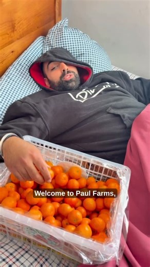 Paul Farms on Instagram: "🍯🍊 Sweet deal alert! ✨🍊 Honey Mandarins for just $10 a box (15 lbs) — exceptionally sweet, juicy, and the perfect easy-to-peel snack for the whole family! 😍🧡 Hurry down to Paul Farms and grab yours before they’re gone! 🏃💨 #fraservalley #britishcolumbia #fyp #lowermainland #bc"