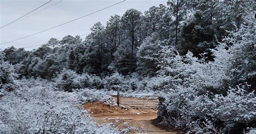 Snow falls in northern Florida after major winter storm brings weather advisories to region