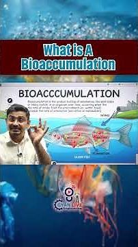 Bioaccumulation and Biomagnification | One Food Chain = Big Poison | GSSSB AAE & Work assistant exam