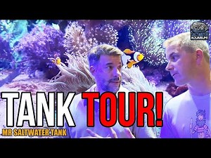 Unique Corals: Reef Tank Tour, Triton Method & DIY Flow Secrets! | Mark Callahan, Mr. Saltwater Tank