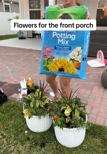 Creating a Beautiful Front Porch with Flowers