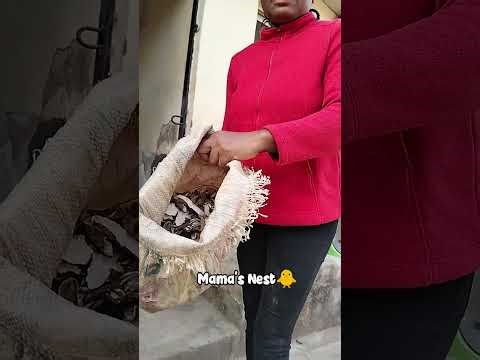 Turn left-overs and kitchen waste to Gold!#food #recycle #viralvideo #trendingvideo #vlogs #mumlife