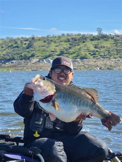 Top 5 fishing spots in Central CA: Fresno-area lakes highlighted: Bass, Millerton, Shaver, Huntington