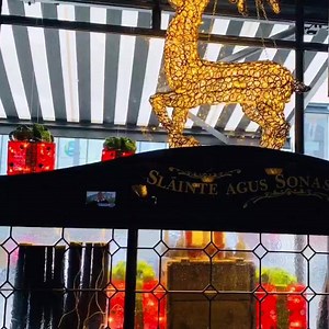 It’s beginning to look a lot like Christmas 🎄 | The Grey Goose