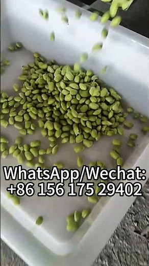 Fresh Beans Pea Shell Removal Removing Machine Green Edamame Shelling Threshing Machine#edamame