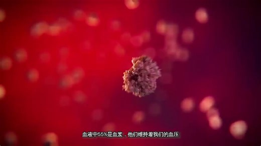医学动画：了解一下血液