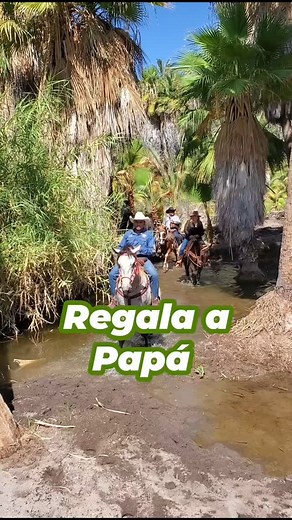 346 reactions · 63 shares | 50% de descuento en la 2da noche de tu reservación + Botella de Vino  TODO JUNIO Regala a papá un descanso como se merece en Vilas LuGar. ️ San Ignacio, B.C.S. Rodeado de Naturaleza, con todas las comodidades y en un espacio tranquilo. Aparta tu fecha! | Villas LuGar | Facebook