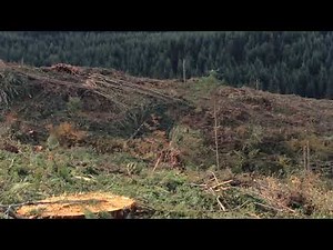 Yoder logging part 2