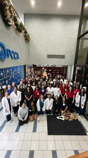 🎄 Happy Holidays from all of us at PCCA Institute! #PCCAInstitute
