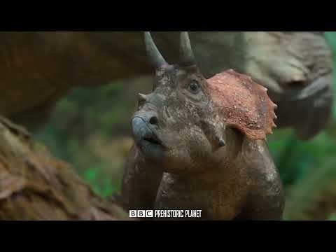 Cute Triceratops baby \\ BBC Prehistoric Planet 2022 \\ Dinosaurs Documentary 2023 HD