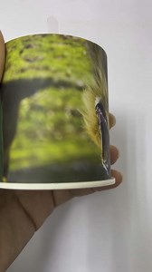 Cow Moo Sound Box Novelty Consumer Electronics Cow-In-Can Voice Noise Maker for Parties and Clown Gags