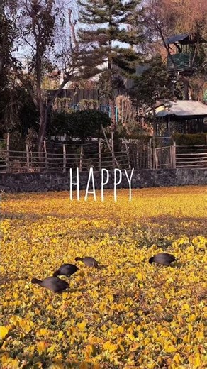 ‪@insta360‬ ‪@Insta360_Tutorials‬