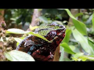 Enlarge the smallest details and enhance your photos - Photo Maximizer