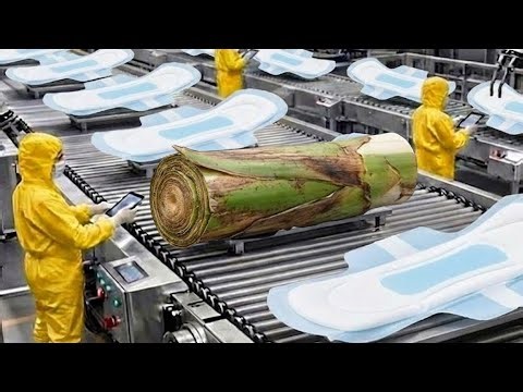 Engineering Marvel Inside Modern Banana Trunk Factory & Suit and Dresses production Process