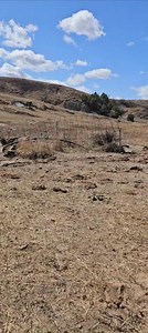 Buaried bait set | Travis Chilson