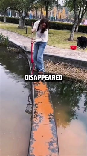 Engaging Reddit Stories You Can't Miss