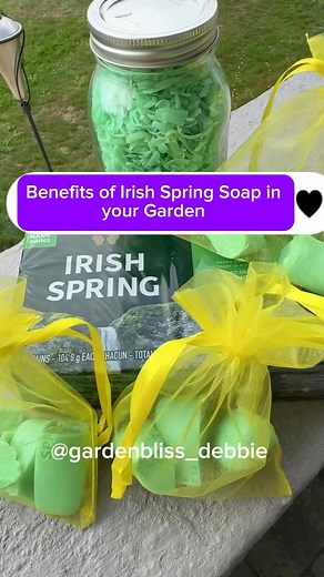 DeBre’s Yard Garden | Irish Spring soap is often touted as a versatile tool in the garden for various benefits. Here are some of the key ways it can be useful:... | Instagram