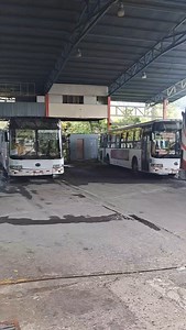 1.8K views · 11 reactions | Fumigadora San Jose CR on Reels | Facebook