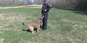 Quincy Police Department welcomes new K-9 officer