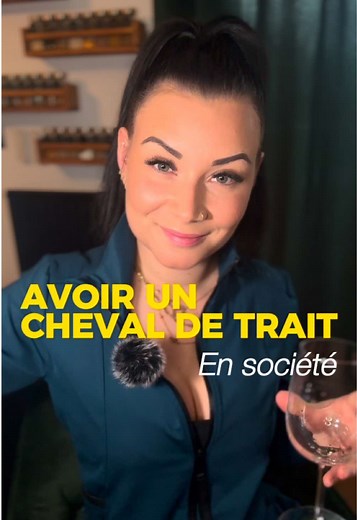 Mon quotidien avec un cheval de trait