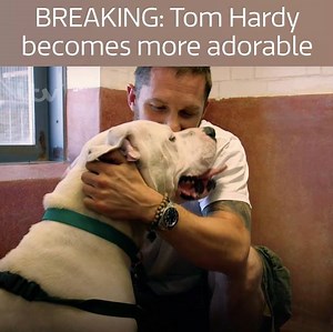 73K views · 959 reactions | It's National Take Your Dog To Work Day. The question is... who would you rather take to YOUR work? Tom or Titch? 樂 | ITV | Facebook