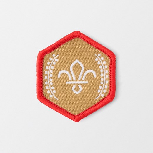 Chief Scouts's Gold Award Badge