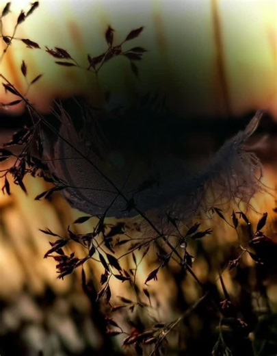 iswan00🍉 (@isone6666)’s videos with original sound - iswan00🍉