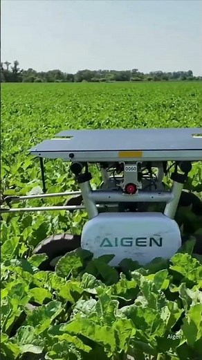 Aigen Advances Sustainable Farming With Agricultural Robotics