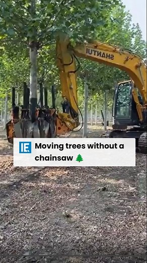 549K views · 3.2K reactions | When used correctly, this tree moving machine can take a tree out of the ground without harming its roots, allowing it to survive in a different place. | Interesting Engineering | Facebook