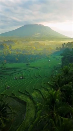 Nature🌿🍃 - Relaxing Waterfall #shorts
