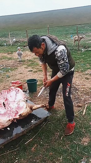 How to Butcher Beef: Step-by-Step Guide