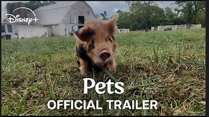 Pets | Official Trailer - Disney+