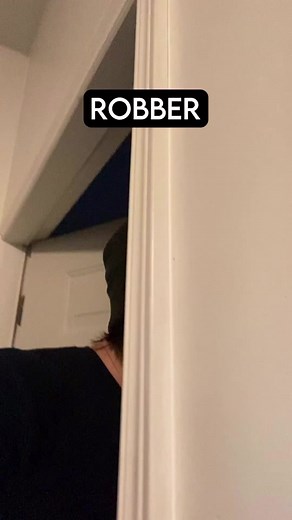 How Dog breeds react to robbers | cane corso