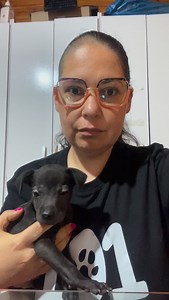 💛 De quilo em quilo, a gente vai conseguir. 💛 PIX: 11.307.796/0001-46 🐾 Ajude como puder. Compartilhe. Comente. Faça parte. A nossa distribuidora de ração entra em recesso nos próximos dias, e para garantir a alimentação dos nossos mais de 300 cães e gatos, precisamos levantar R$ 12.000 com urgência. Isso significa ração no pote. Significa barriguinhas cheias. Significa cuidado contínuo, mesmo quando tudo aperta. Sabemos que o momento é difícil para todos. Mas aqui, qualquer valor faz diferen