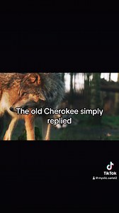 56K views · 1.9K reactions | Which Wolf will you feed?  #duality #mindfulness #lightandshadow #spirituality | Mystic Sariel | Facebook