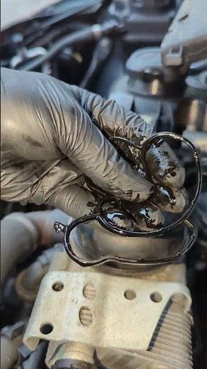 BMW E90 E92 320i oil leak quick fix #technician #bmwtech