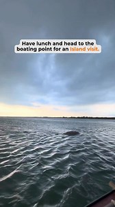 66K views · 386 reactions |  A Day Trip to Remember – Nagalapuram...