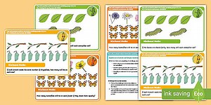 EYFS Maths Sharing into Equal Groups Chilli Challenges: Minibeast Maths
