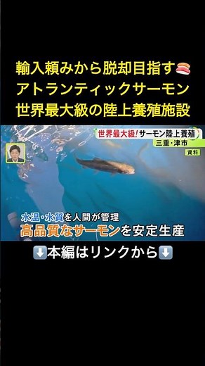 ⬆️本編はリンクから⬆️総事業費約700億円とも…世界最大級のアトランティックサーモン陸上養殖施設 27年末頃からの出荷目指し建設進む#shorts