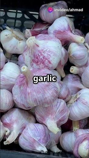 Grow Garlic Like a Pro: Quick Tips!